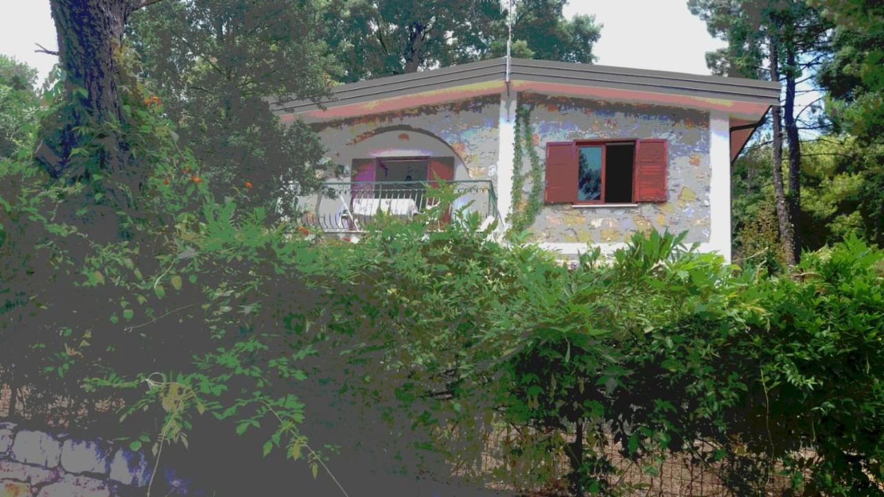 קפיטלו Villa Luisa Sul Mare מראה חיצוני תמונה